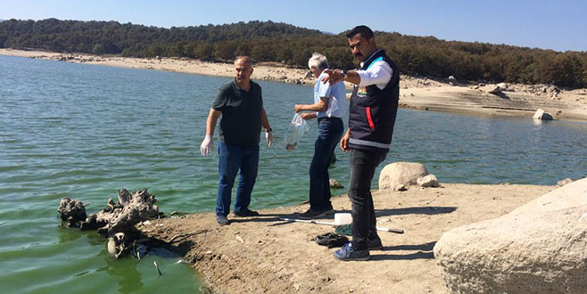 Balık ölümleri korkuttu