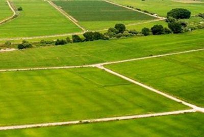 Yıllık 100 liraya kiralık devlet arazisi