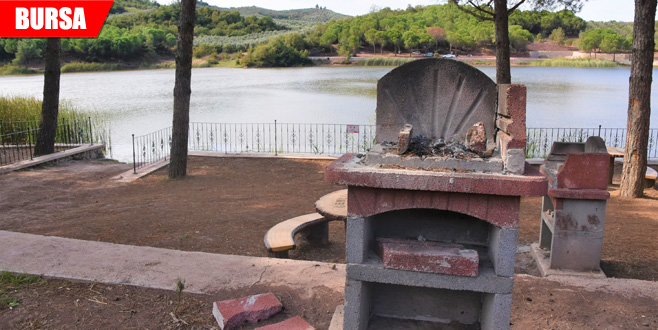 Magandalar halkın mallarını tahrip etti Magandalar halkın mallarını tahrip etti