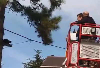 Bursa’da ‘Jaguar’ı kurtarma operasyonu