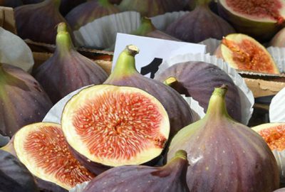 ‘Bursa Karası’ görücüye çıktı