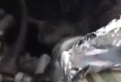 Bursa’da ‘gaybubet’ operasyonu…