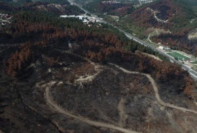 Havadan görüntülendi! Küle dönen ormanla ilgili yeni açıklama