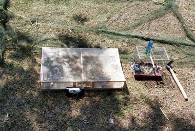 Tuzak kurup yakaladı! Turiste ceza yağdı…