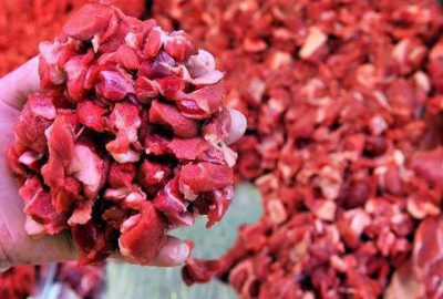 Kırmızı et üreticileri yeni fiyattan memnun