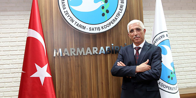 Marmarabirlik zeytin alımında rekor kıracak