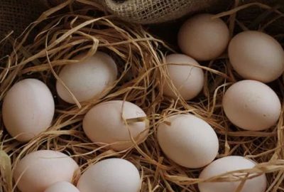 Yumurtada indirim uyarısı