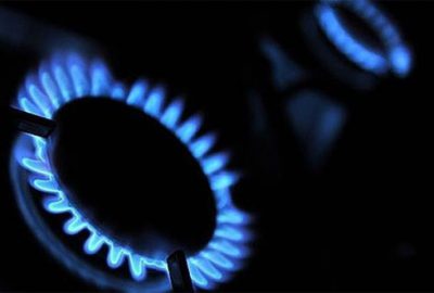 ‘Doğalgaz kesintisi beklemiyoruz’