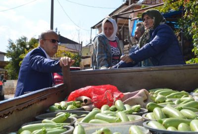 İznik’te üretilen kabaklar yurt dışına ihraç ediliyor