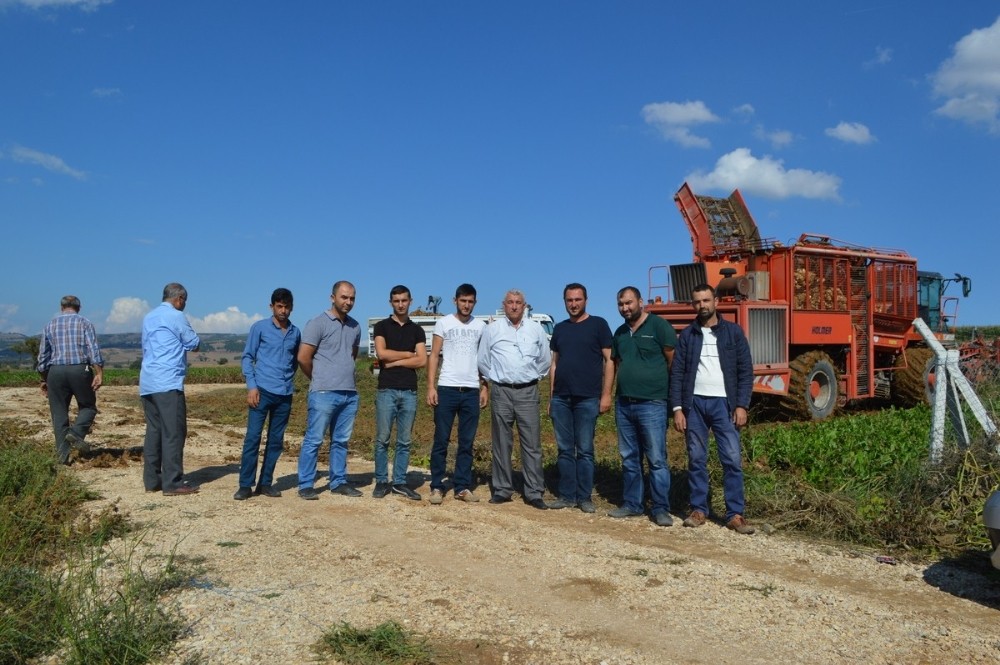 Pancar hasadı başladı