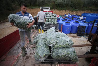 ‘Turşucu Köy’ ihracatta hedef büyüttü