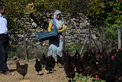 İki tavukla başladı şimdi çiftlik sahibi oldu 
