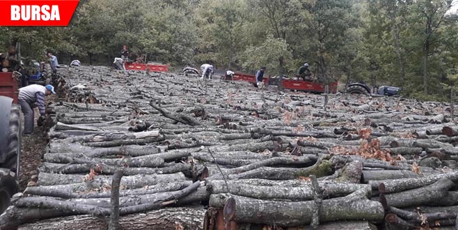 Köylüler kış hazırlıklarına başladı