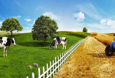 Tarım Kredi’den 100 üründe yüzde 10 indirim