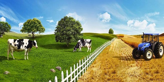 Tarım Kredi’den 100 üründe yüzde 10 indirim