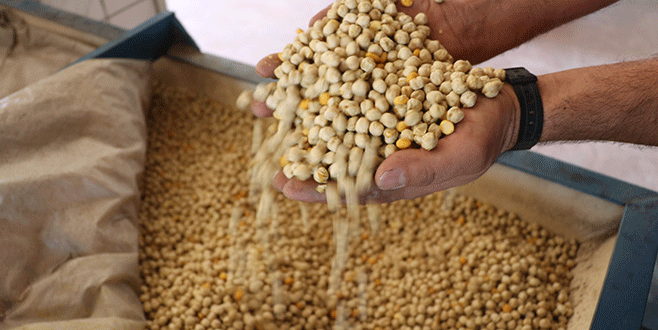 Türk leblebisi dünya pazarında Türk leblebisi dünya pazarında