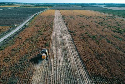 Tarım Krediden üretici için ‘5 milyar lira’ hedefi