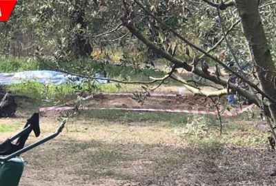 Bölge korumaya alınmıştı… 1 tane daha bulundu!