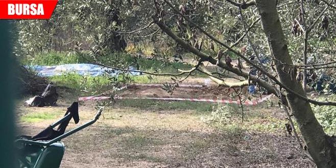 Bölge korumaya alınmıştı… 1 tane daha bulundu!