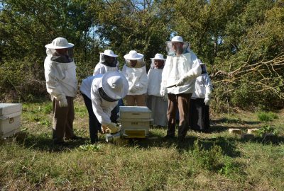 Dağ yöresindeki arıcılar üniversitede ders gördü
