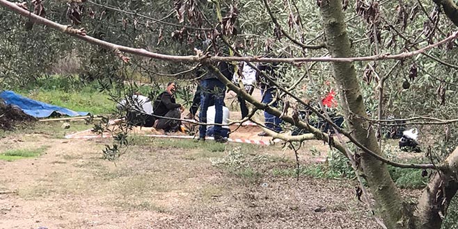 İznik’te bulunan mozaikli lahit, ‘Kraliçe Nikaia’ heyecanı yarattı İznik’te bulunan mozaikli lahit, ‘Kraliçe Nikaia’ heyecanı yarattı