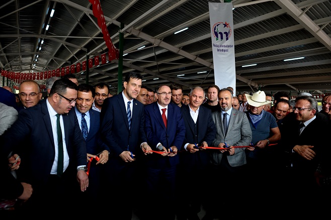 Güney Marmara’nın en büyük canlı hayvan pazarı açıldı