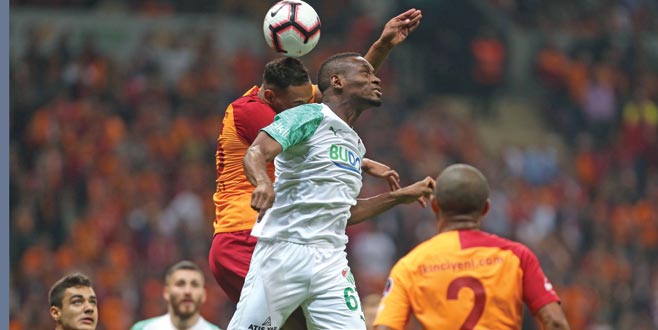 Ne koştun be Timsah! Ne koştun be Timsah!