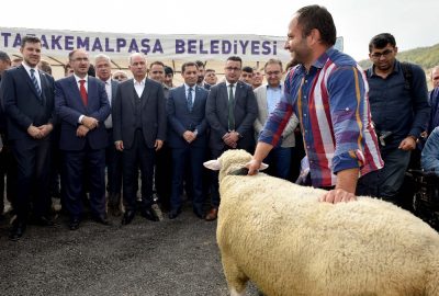 Hayvanlar en güzel olmak için yarıştı