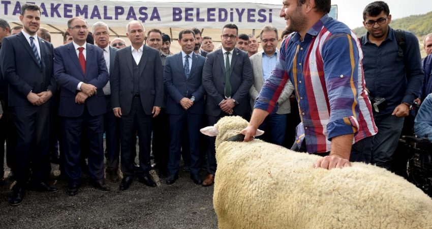 Hayvanlar en güzel olmak için yarıştı Bursa'nın Mustafakemalpaşa Belediyesi tarafından 5 milyon TL'lik yatırımla hayata geçirilen
