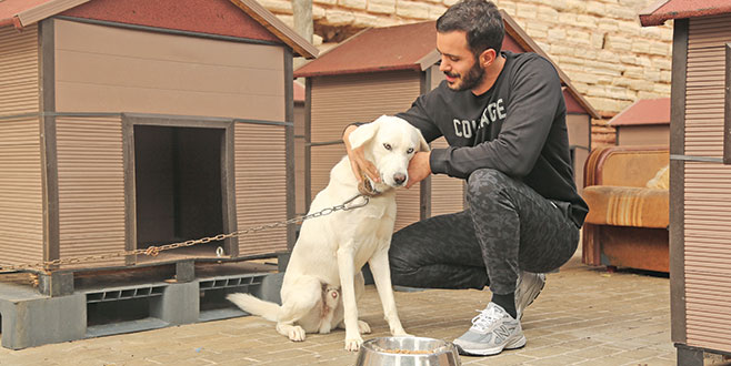 Barış’tan anlamlı hareket