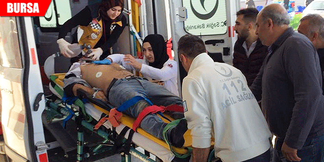 Güvercin sevdası, canından etti