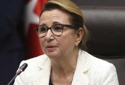 e-ihale ile gümrükten satış sistemine yeni model