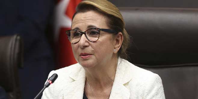 e-ihale ile gümrükten satış sistemine yeni model e-ihale ile gümrükten satış sistemine yeni model