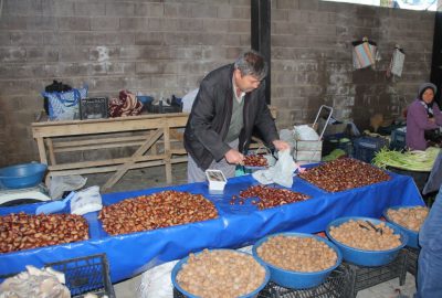 Kestane fiyatları cep yakıyor