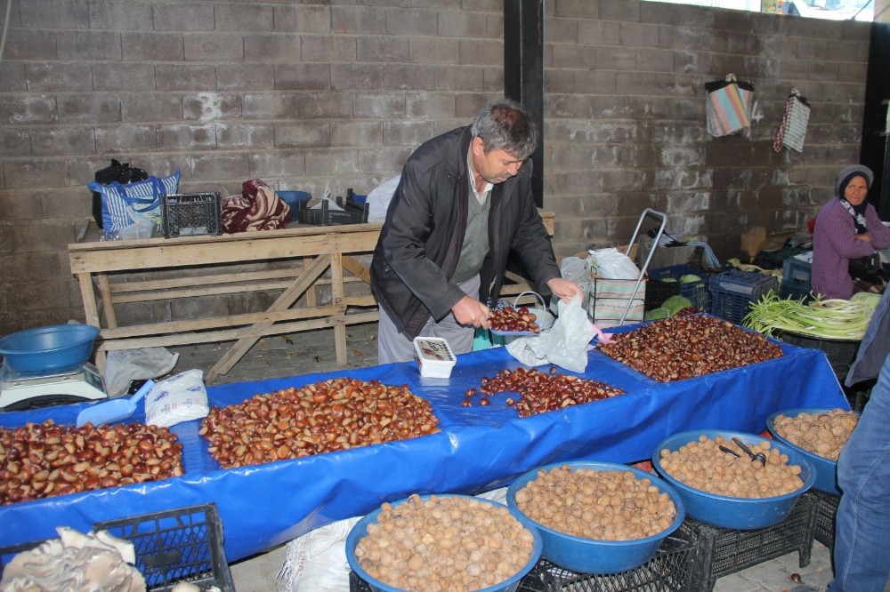 Kestane fiyatları cep yakıyor Kestane fiyatları cep yakıyor