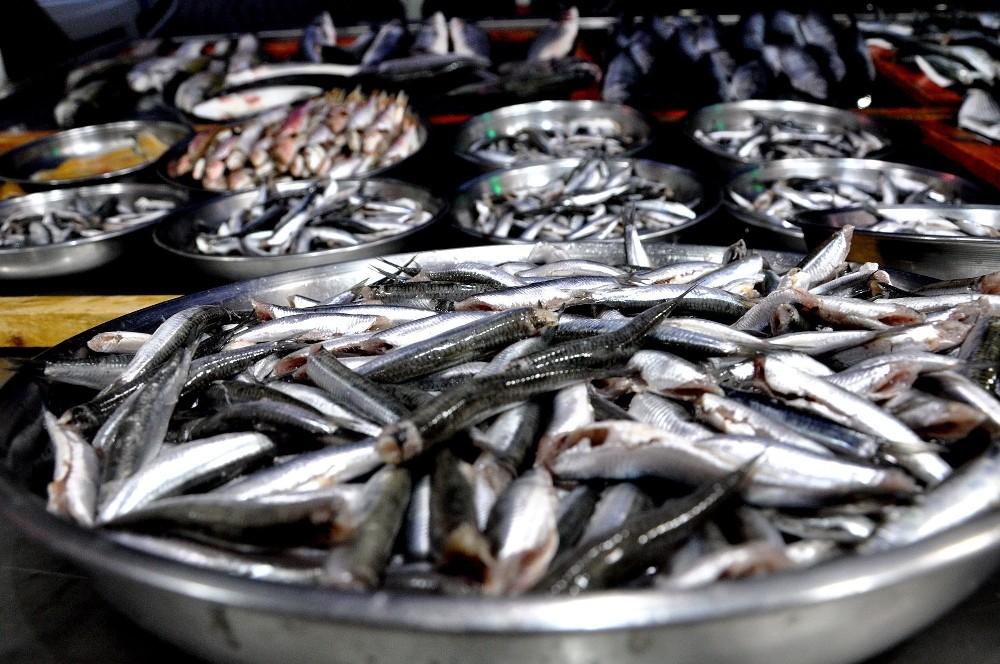 Hamsi radara girmedi Hamsi radara girmedi