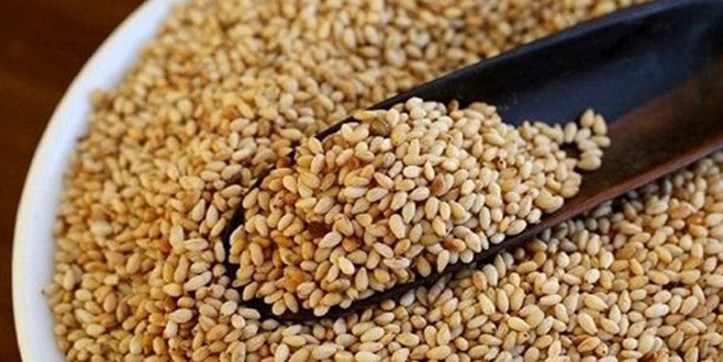 Susam ithalatında gümrük vergisi sıfırlandı