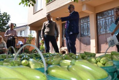 İznik’te üretilen kabaklar yurt dışına ihraç ediliyor