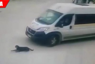 Tepki çeken görüntülerin ardından yeni gelişme!