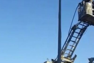 Elektrik direğinde ayağına ip dolanan kuşu itfaiye kurtardı