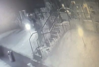 Köpeği veteriner bahçesine bağlayıp terk ettiler