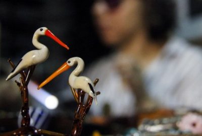 Hayvanlar alemine camla hayat veriyor