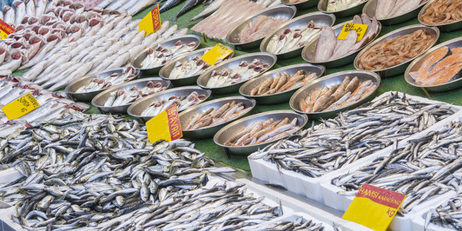 Balık bolluğu esnafın yüzünü güldürüyor Balık bolluğu esnafın yüzünü güldürüyor