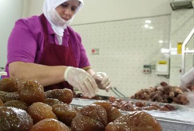 Kestanede kalite ve rekolte iyi