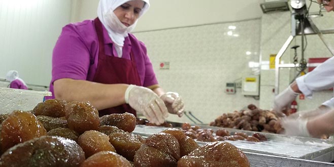 Kestanede kalite ve rekolte iyi