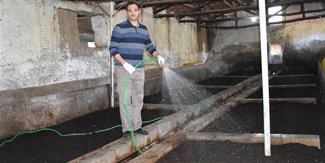 Sebze atıklarından gübre üretiyor