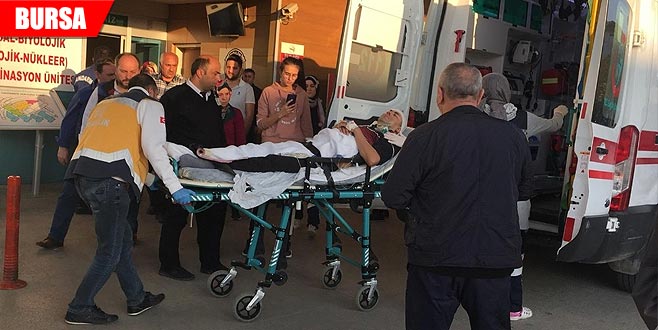 Kestiği ağaç üzerine devrildi