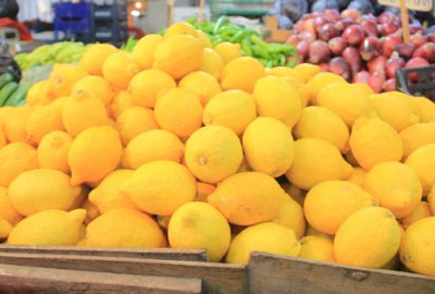 Limonda üretim arttı fiyatlar düştü