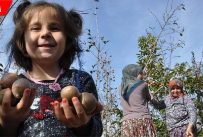 Hasat başladı yüzler gülüyor…