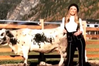 İneğin memesinden süt içti! Sosyal medya ayağa kalktı